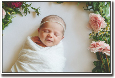 

Cute baby sleeping beside roses Fine Art Print(12 inch X 18 inch, Rolled)