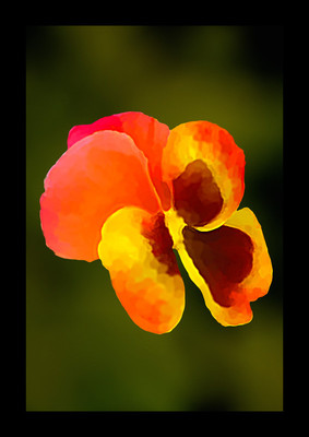 50% OFF on Orange and Paper Print(22 inch X 16 inch) 50% OFF on Orange and Paper Print(22 inch X 16 inch)