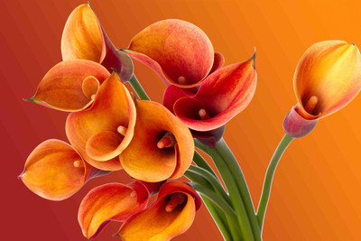 

Floral Painting Canvas Art(24 inch X 36 inch)