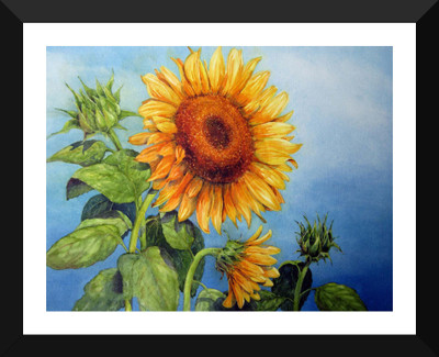 

Tallenge - Blooming Sunflowers - Premium Quality A3 Size Framed Poster Paper Print(17 inch X 12 inch, Framed)