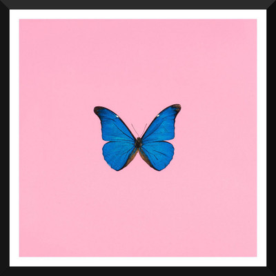 

Tallenge - Modern Art - Blue Butterfly Against Pink Background - Framed Poster Paper Print(12 inch X 17 inch, Framed)