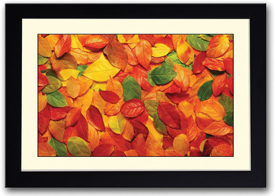 

Coloured Leaves Fine Art Print(14 inch X 20 inch, Framed)
