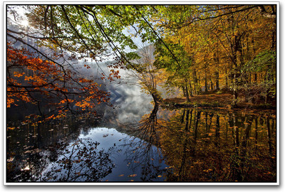 

Beautiful River in Green Forest Paper Print(12 inch X 18 inch)