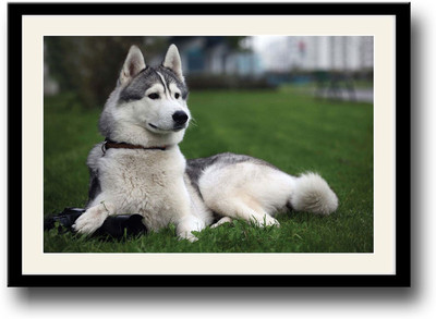 

Cute Dog Fine Art Print(10 inch X 14 inch, Framed)
