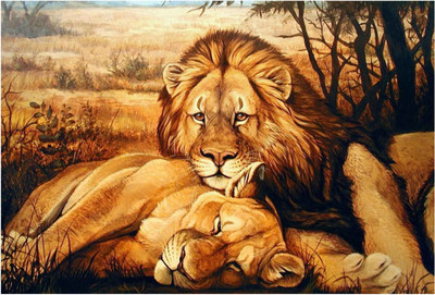 

Lion relaxing Paper Print(13 inch X 19 inch, Rolled)