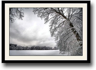 

Snow Covered Tree Fine Art Print(10 inch X 14 inch, Framed)