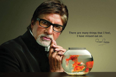 

Amitabh Bachchans Quotes Paper Print(12 inch X 18 inch, Rolled)