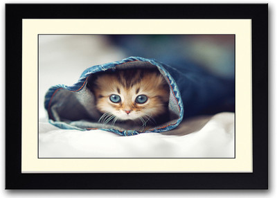 

Cute Small Cat Inside Jeans Fine Art Print(14 inch X 20 inch, Framed)