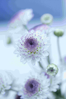 

Posterhouzz Flower Fine Art Print Poster Fine Art Print(18 inch X 12 inch, Rolled)