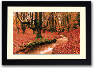 

Beautiful Red Forest Scenery Fine Art Print(14 inch X 20 inch, Framed)
