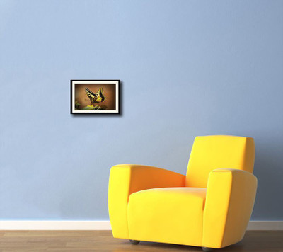 

Yellow and black butterfly Fine Art Print(10 inch X 14 inch, Framed)
