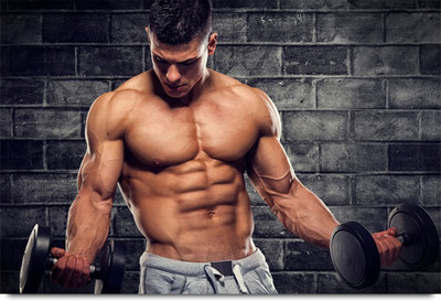 

Balanced Physique Body Builder Paper Print(12 inch X 18 inch, Stacked)