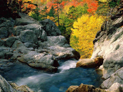 

Posterhouzz Autumn Fine Art Print Poster Fine Art Print(12 inch X 18 inch, Rolled)