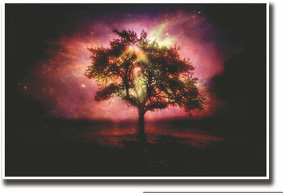 

Posterhouzz Light Through Tree Fine Art Print(12 inch X 18 inch, Rolled)