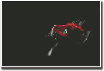 

Red face cat Fine Art Print(12 inch X 18 inch, Rolled)