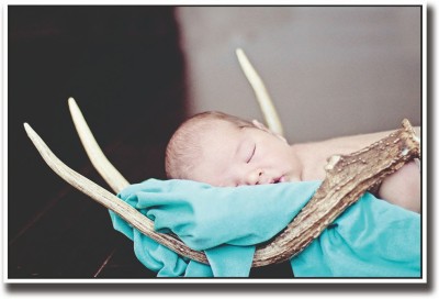 

Baby sleeping in wooden horns Fine Art Print(12 inch X 18 inch, Rolled)