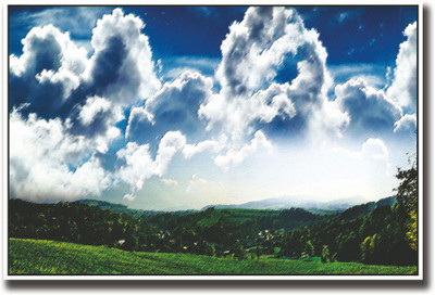 

Artistic view greenery Fine Art Print(12 inch X 18 inch, Rolled)