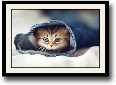 Cute small cat inside jeans Fine Art Print(10 inch X 14 inch, Framed)