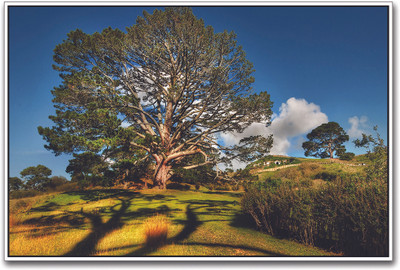 Beautiful Tree Paper Print(12 inch X 18 inch)