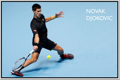 

Posterhouzz Novak Djokovic Poster Paper Print(12 inch X 18 inch, Rolled)