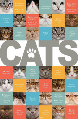 

bCreative Cats Poster Paper Print(18 inch X 12 inch, Rolled)