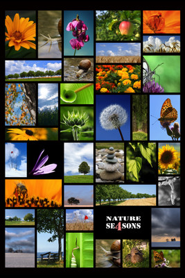 

Nature's 4 Season Paper Print(18 inch X 12 inch)