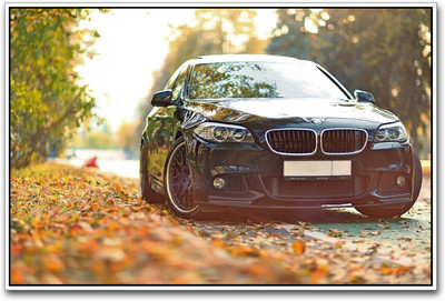 

BMW inspired Paper Print(12 inch X 18 inch)
