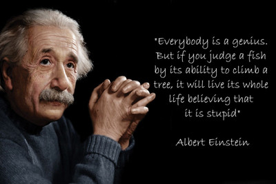 

GENIUS QUOTE EINSTIEN 12X18 INCHES Fine Art Print(12 inch X 18 inch)