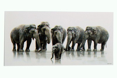 

Bm Traders Texture Art Work 6 Lucky Vastu Elephants Unframed Poster (20 X 40 Inches) Paper Print(20 inch X 40 inch, Rolled)