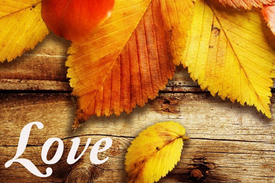 

Posterhouzz Fine Art Print(12 inch X 18 inch, Rolled)