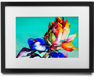 

Shaildha's Water Colour Painting Print of Beautiful Vibrant Flower Fine Art Print(9 inch X 11 inch)