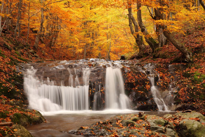 

Vastu WaterFall Art Canvas Art(24 inch X 36 inch)