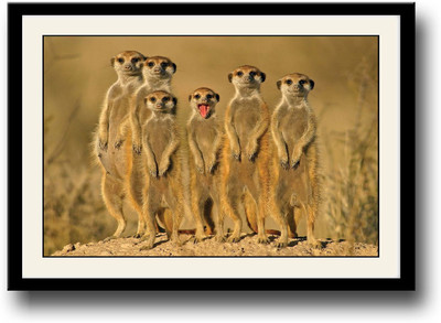 

6 Meerkats Fine Art Print(10 inch X 14 inch, Framed)