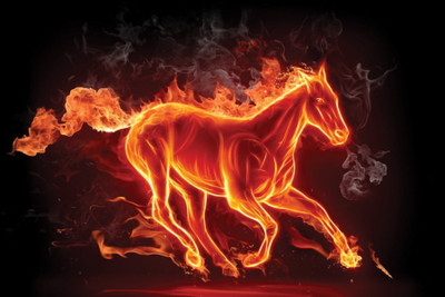 

Beautiful Art Horse Poster Paper Print(12 inch X 18 inch, Rolled)