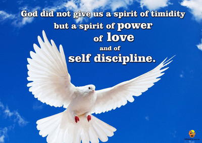 

Bheja Fry Poster Self disipline (42 cm x 29.7 cm) Paper Print(11.69 inch X 16.53 inch, Rolled)