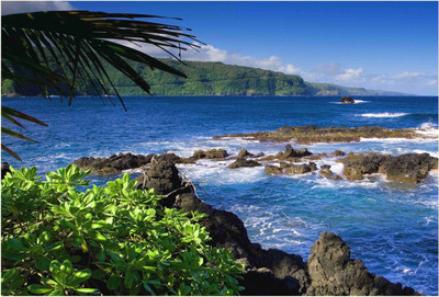 

Nature Paper Print(19 inch X 13 inch, Rolled)