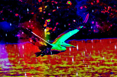 50% OFF on Pelican 07 , Canvas Art(10 inch X 16 inch)