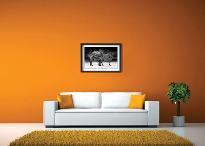 

Two Zebras Black and White Fine Art Print(14 inch X 20 inch, Framed)