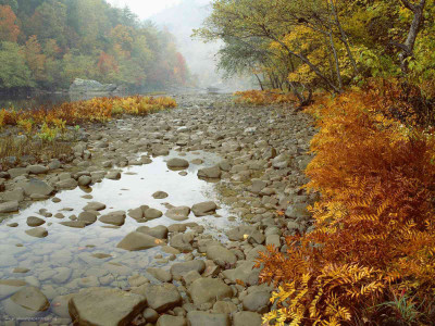 

Posterhouzz Autumn Fine Art Print Poster Fine Art Print(12 inch X 18 inch, Rolled)