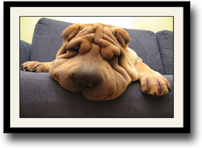

Cute dog sleeping Fine Art Print(10 inch X 14 inch, Framed)