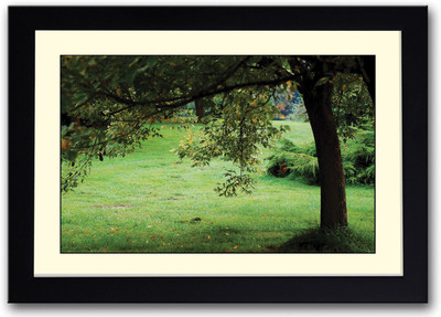 Green Tree Fine Art Print(14 inch X 20 inch, Framed)