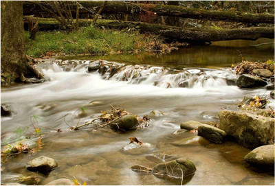 

Nature Paper Print(19 inch X 13 inch, Rolled)