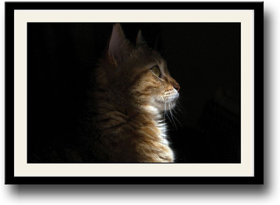 

Brown Cat Fine Art Print(10 inch X 14 inch, Framed)