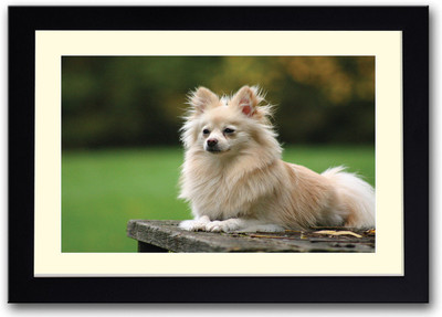 

Dog Fine Art Print(14 inch X 20 inch, Framed)