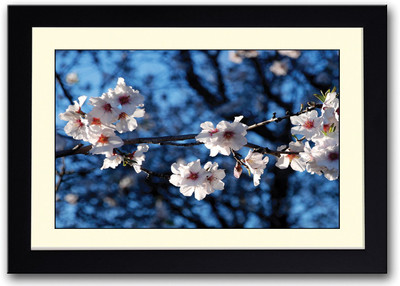 

White Flowers Photography Fine Art Print(14 inch X 20 inch, Framed)