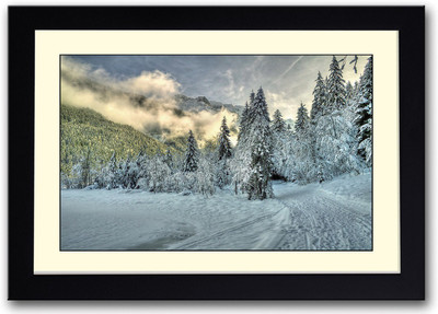 

Snow covered forest Fine Art Print(14 inch X 20 inch, Framed)