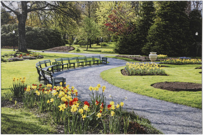 

Bm Traders Beautiful Park Unframed Wall Sticker Poster Big Fine Art Print(24 inch X 48 inch, Rolled)