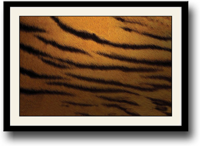 

Tiger skin design Fine Art Print(10 inch X 14 inch, Framed)