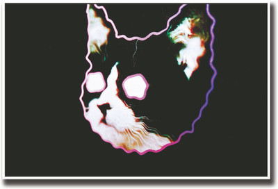 

Cool Abstract cat Fine Art Print(12 inch X 18 inch, Rolled)