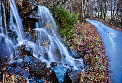 

Nature Paper Print(19 inch X 13 inch, Rolled)